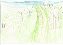МДОУ № 79 Киселев Сергей, 5 лет "По дороге на Кивач"